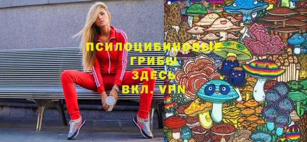 крисы Алексин