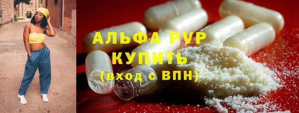крисы Алексин
