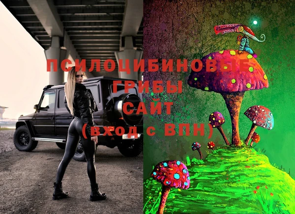 крисы Алексин