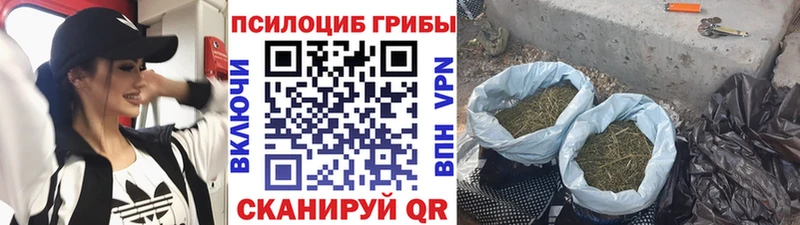 mega ссылки  Бабушкин  Галлюциногенные грибы мицелий 